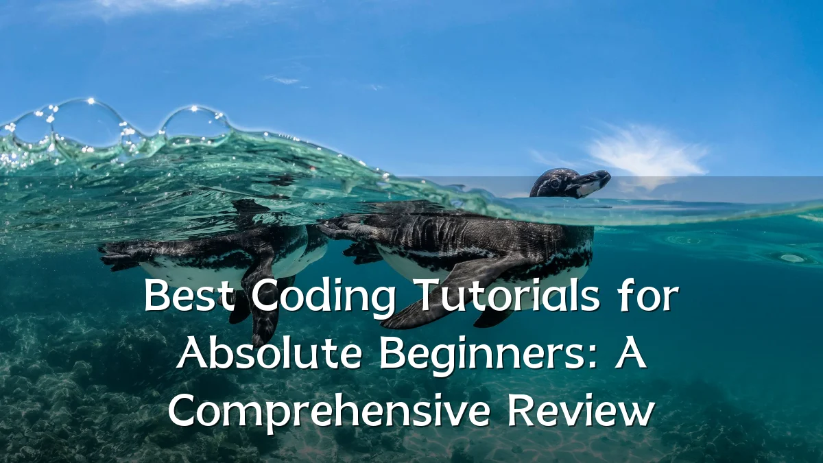 Best Coding Tutorials for Absolute Beginners: A Comprehensive Review