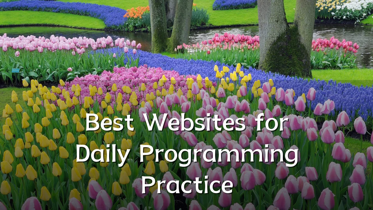 Best Websites for Daily Programming Practice