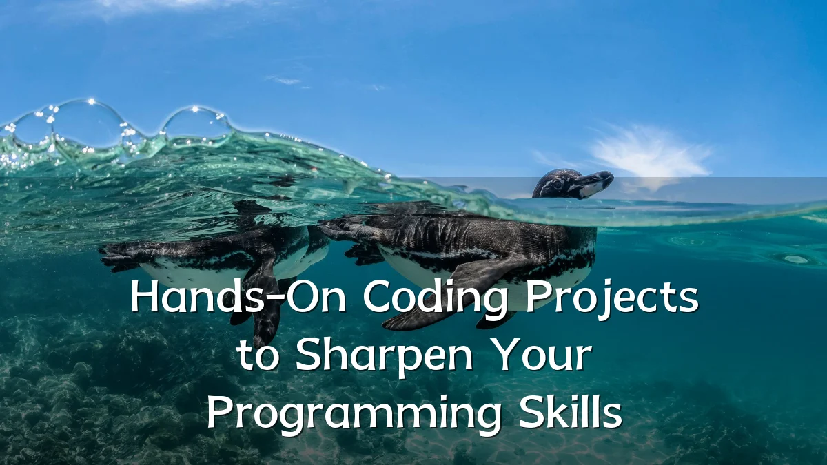 Hands-On Coding Projects to Sharpen Your Programming Skills