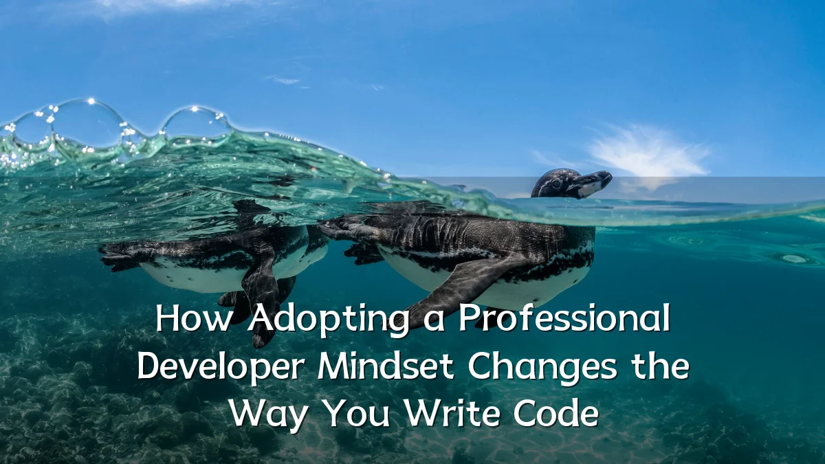 How Adopting a Professional Developer Mindset Changes the Way You Write Code