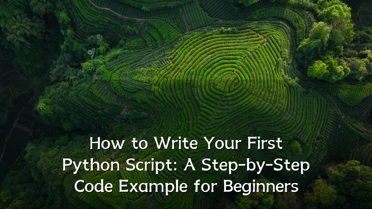 How to Write Your First Python Script: A Step-by-Step Code Example for Beginners