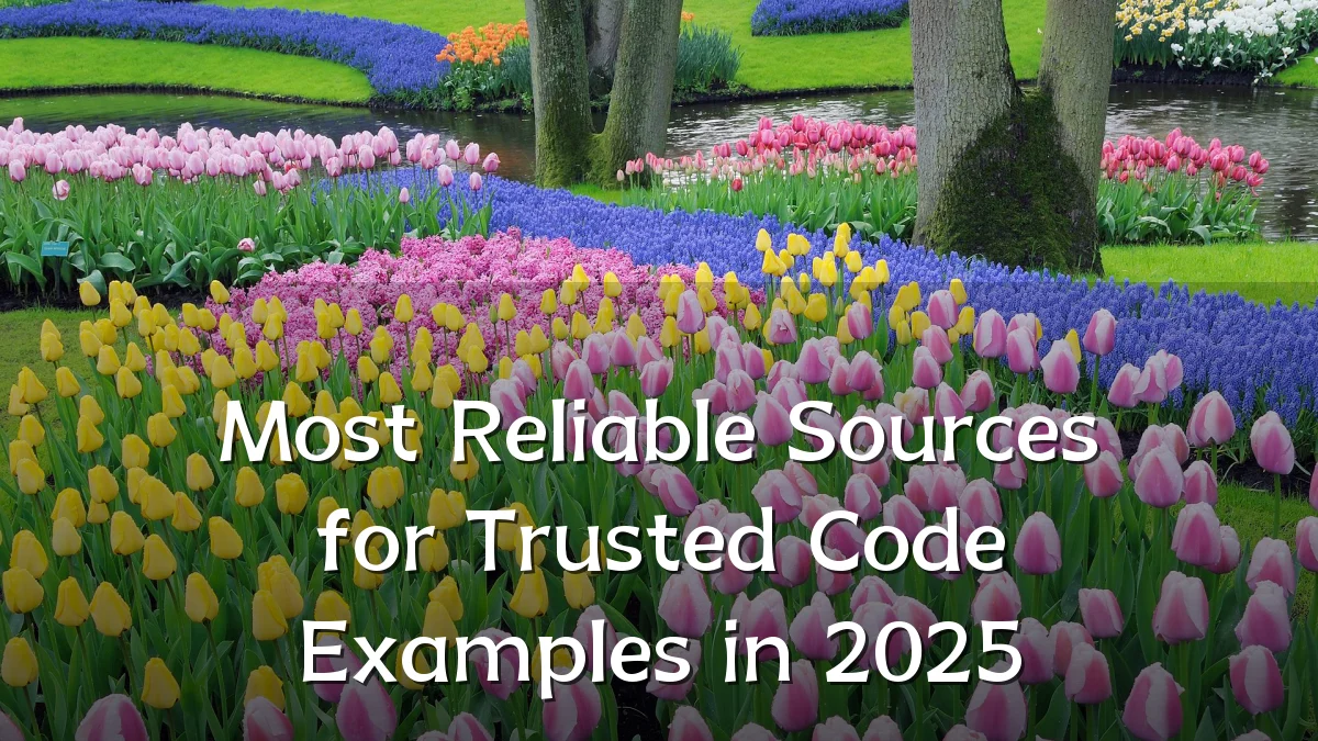 Most Reliable Sources for Trusted Code Examples in 2025