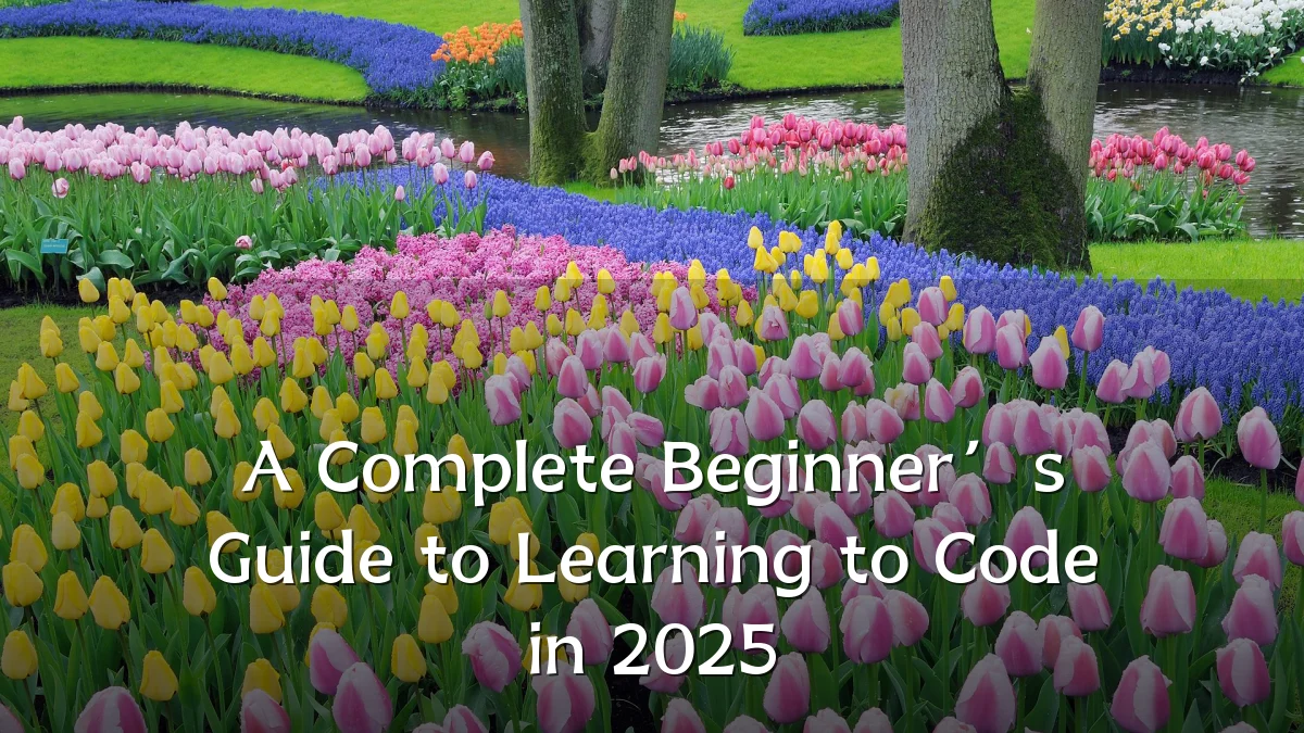 A Complete Beginner’s Guide to Learning to Code in 2025