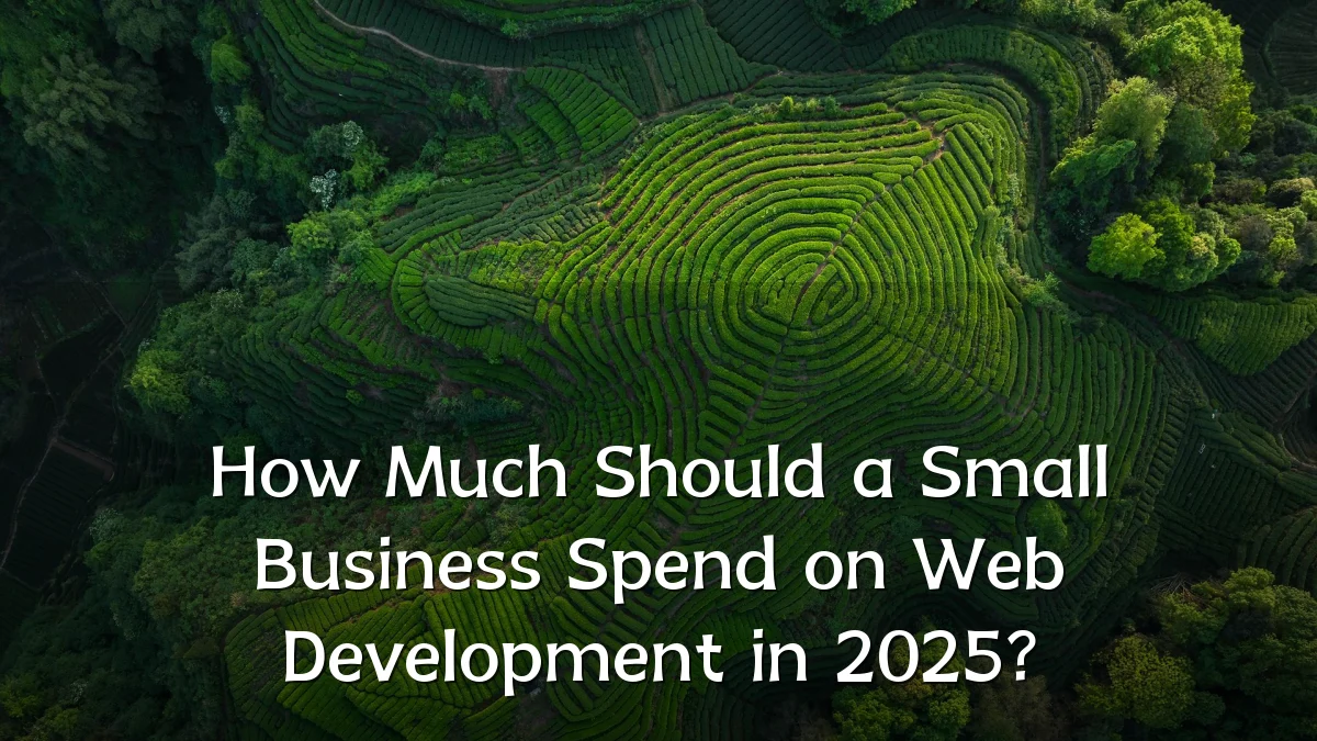 How Much Should a Small Business Spend on Web Development in 2025?