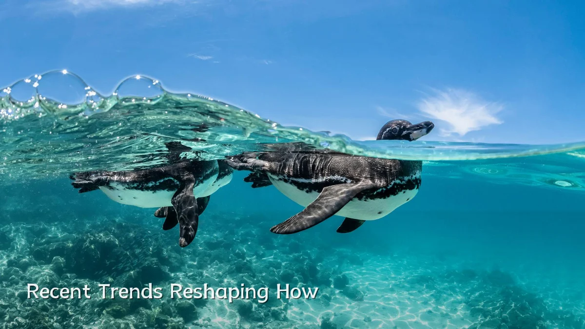 Recent Trends Reshaping How