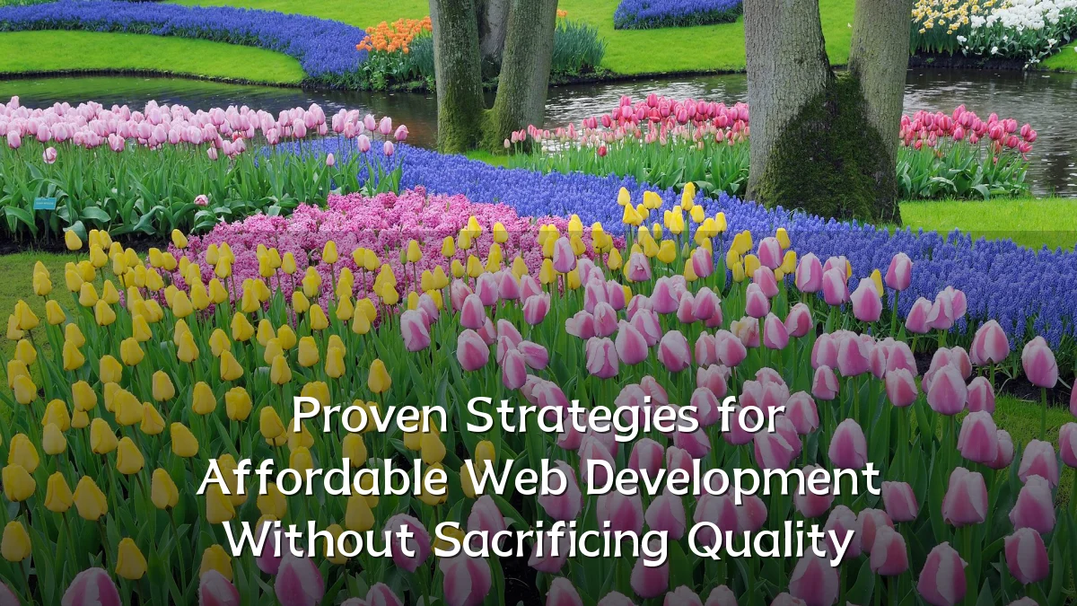 Proven Strategies for Affordable Web Development Without Sacrificing Quality