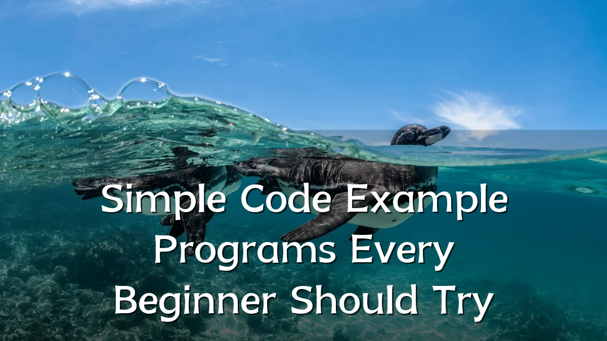 Simple Code Example Programs Every Beginner Should Try