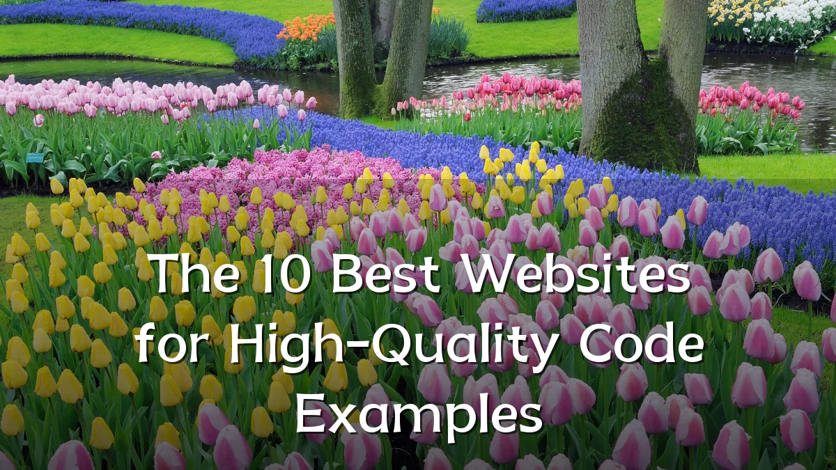 The 10 Best Websites for High-Quality Code Examples