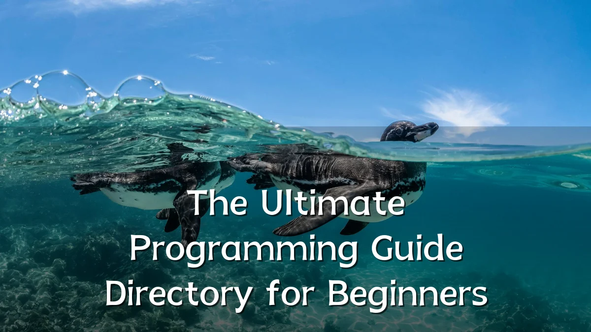 The Ultimate Programming Guide Directory for Beginners