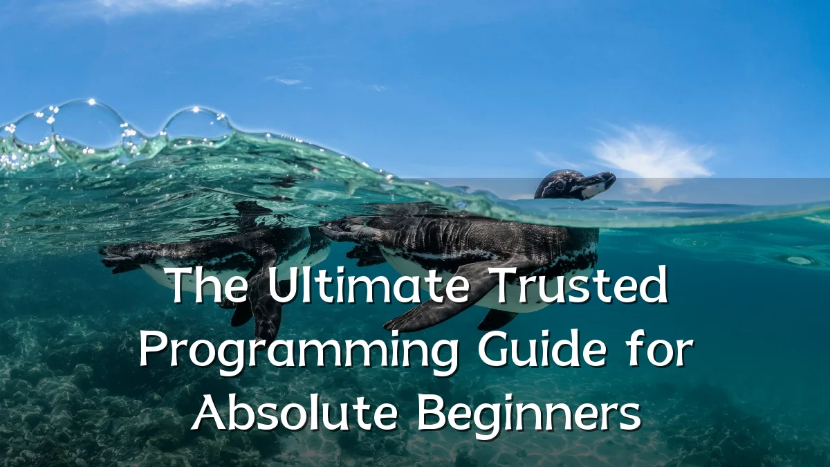 The Ultimate Trusted Programming Guide for Absolute Beginners