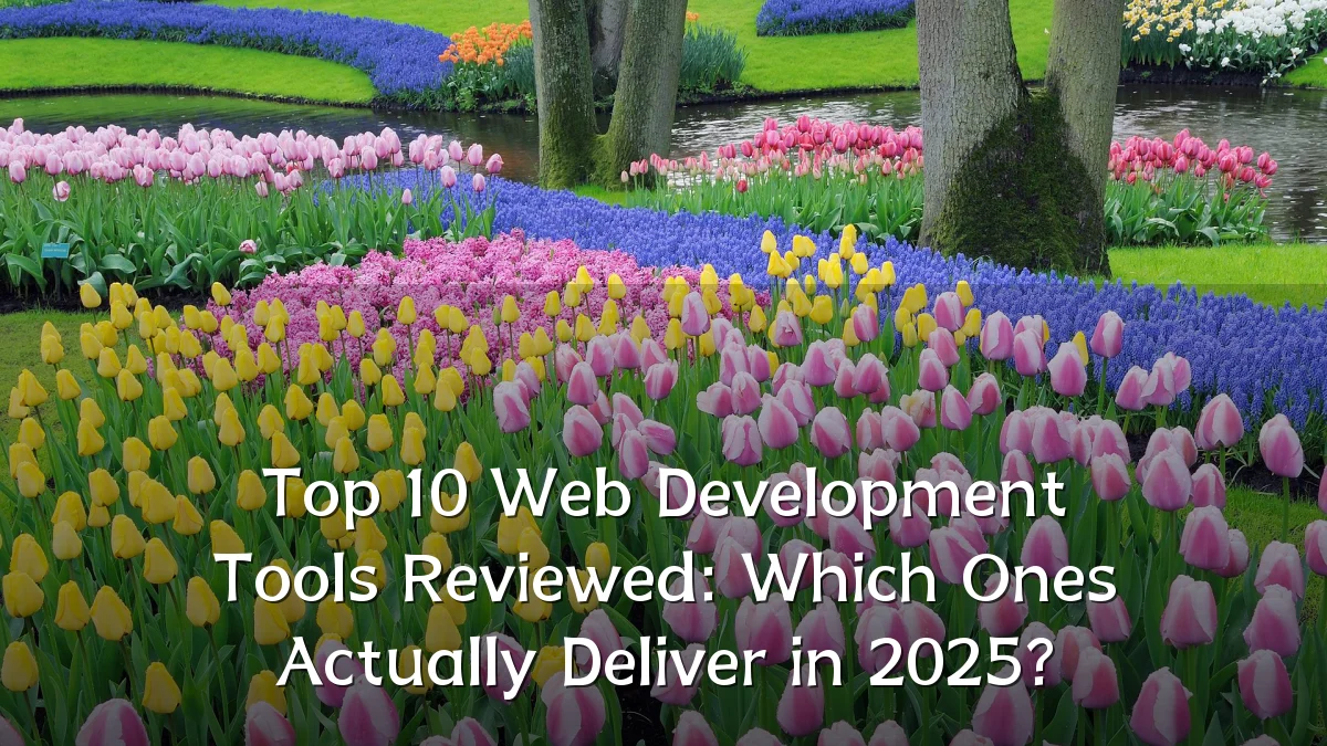 Top 10 Web Development Tools Reviewed: Which Ones Actually Deliver in 2025?
